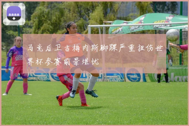 马竞后卫吉梅内斯脚踝严重扭伤世界杯参赛前景堪忧